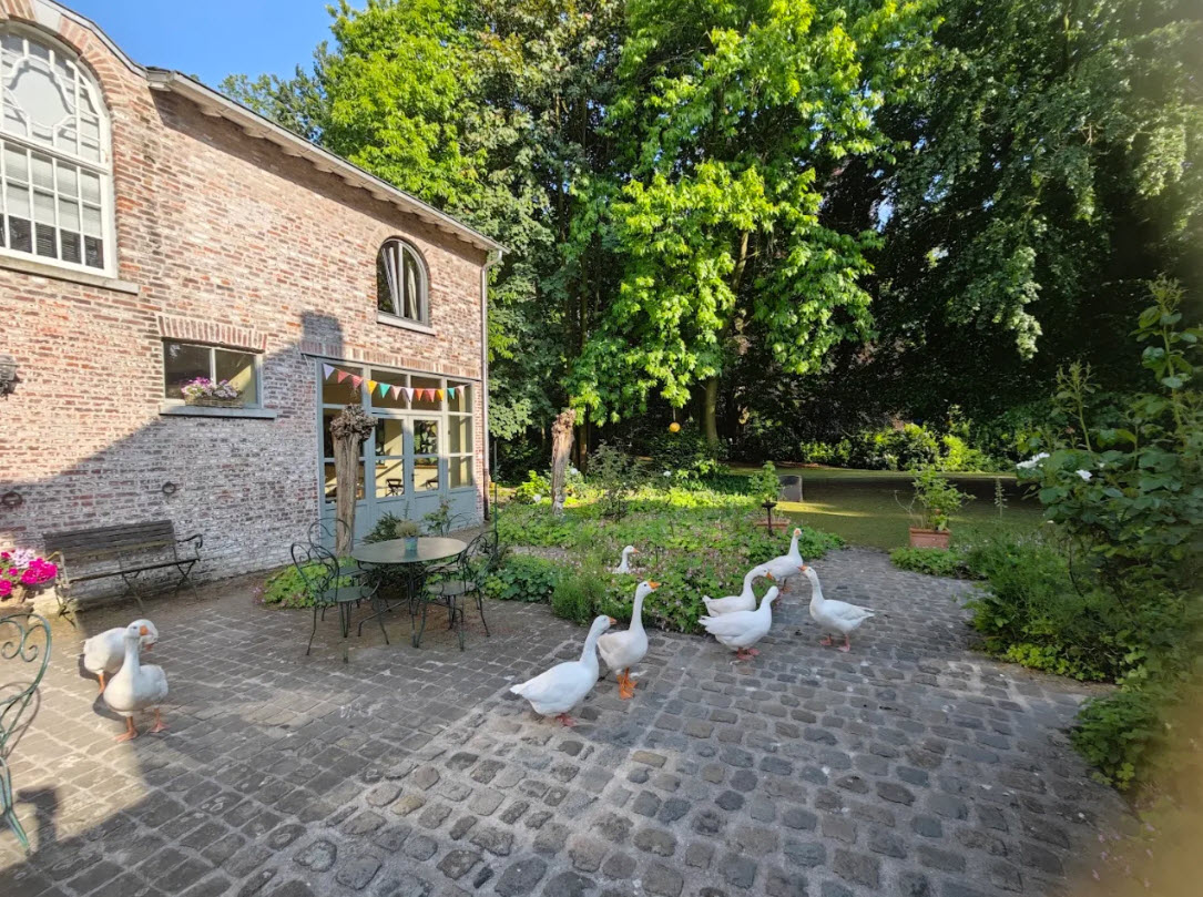Eremyten Hof, Belgium